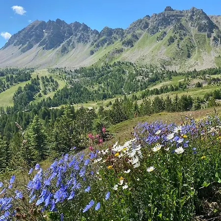 4 Pers A 100m Des Pistes- Vars Les Claux *